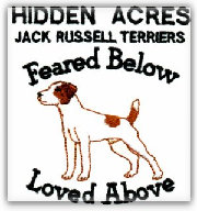  JACK RUSSELL TERRIER