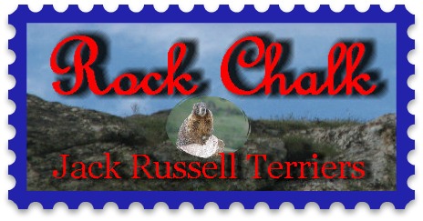 Available at Rock Chalk Terriers